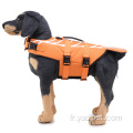 Maillot de bain sauveteur pour chien